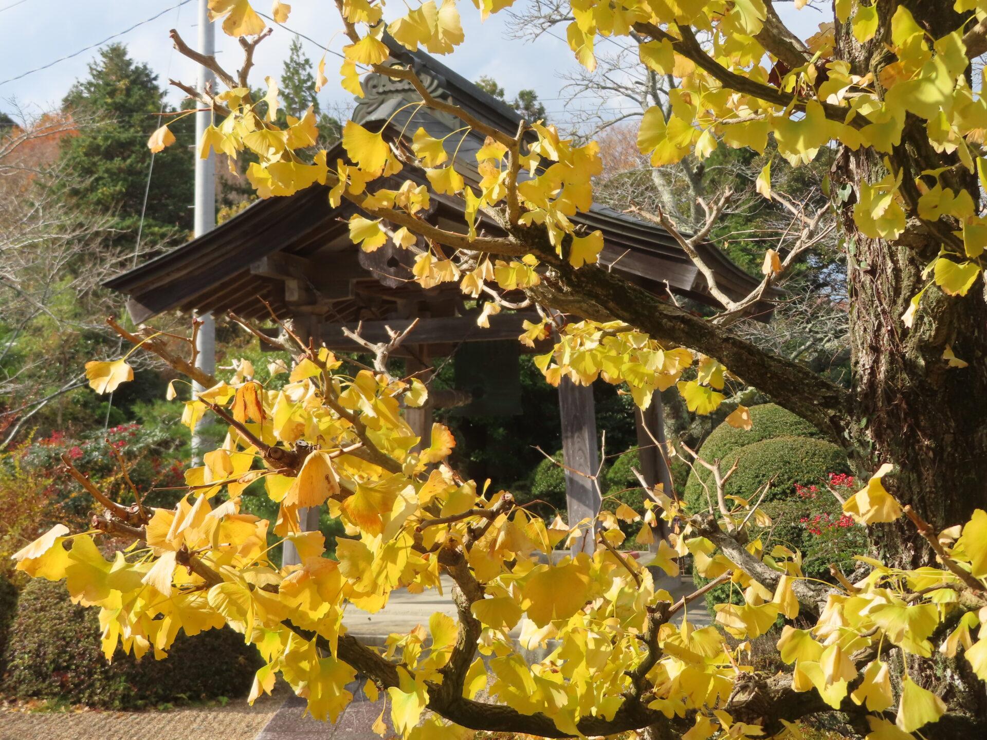 2025年12月1日 (月) 画像